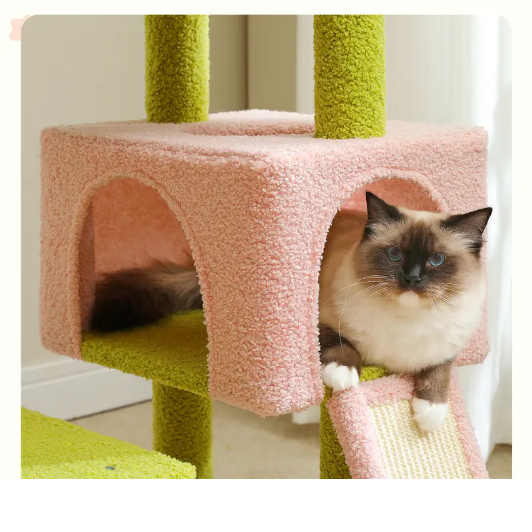 ™Hadronel | עץ חתולים רב-שכבתי – מגדל טיפוס עם עמודי סיסל, רמפה וקונדו למשחק